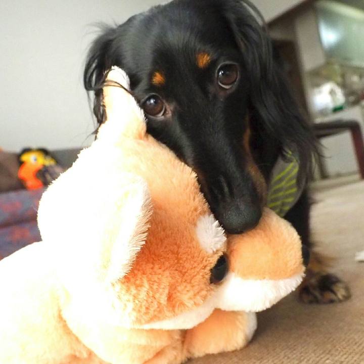 0c4c3c90 7b79 453d a2ff bcff63500460