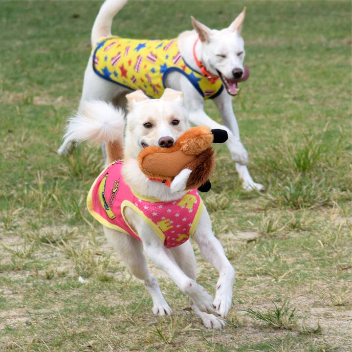 0c4d11f1 f6a2 4093 8ae4 5e1eeba2f176