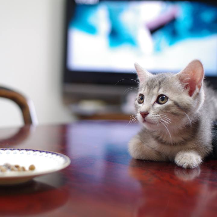 0c4d8d78 e74d 439d ad4b e94d2b5b6d26