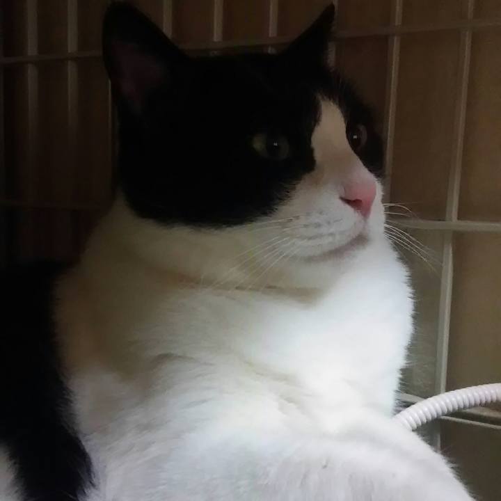 0c4db912 4ae6 4264 9cb8 62dcf1f5c781