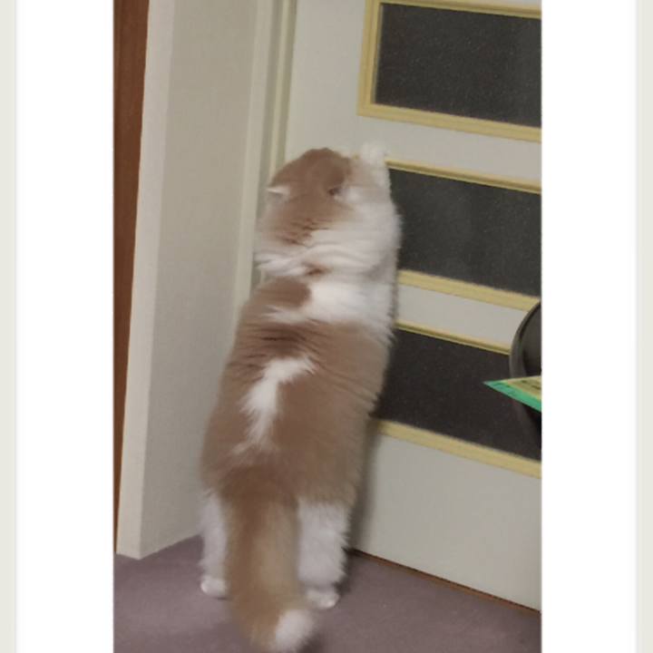 0c4e5e59 fbaa 4009 a83c 48e731239cb7