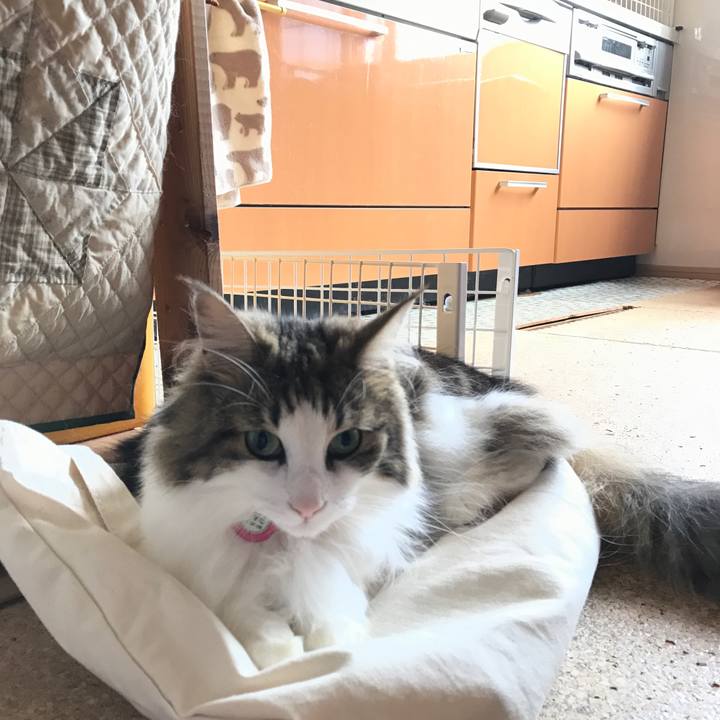 0c4e6025 6fe8 4720 95ee 23be5a9d0cac