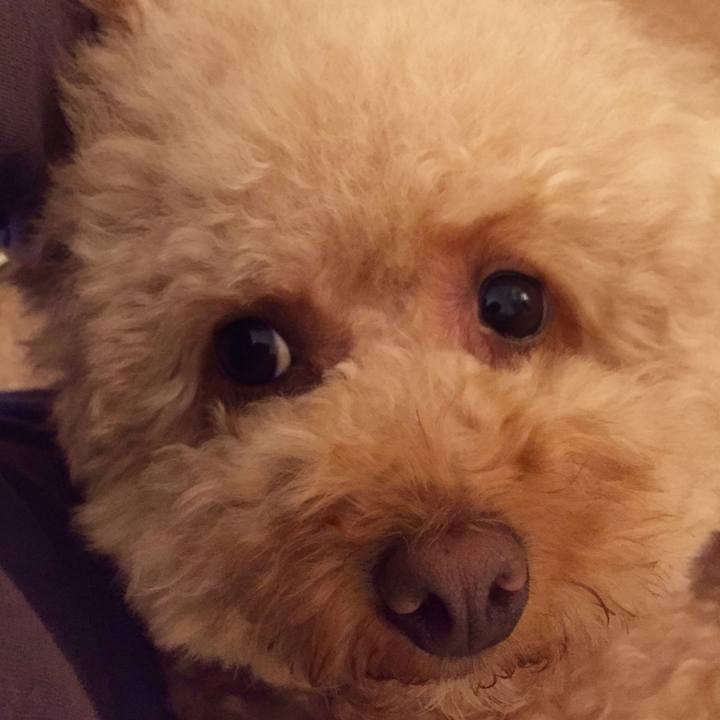 0c4e788d 354a 480b a8f6 2a414e047b5b