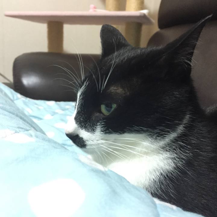 0c4f1e5d e587 43d7 98a4 365fec162330