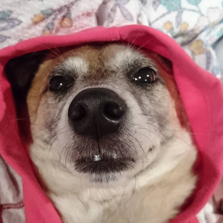 0c4f32b4 42dd 4643 82e4 aeca53c00e5c