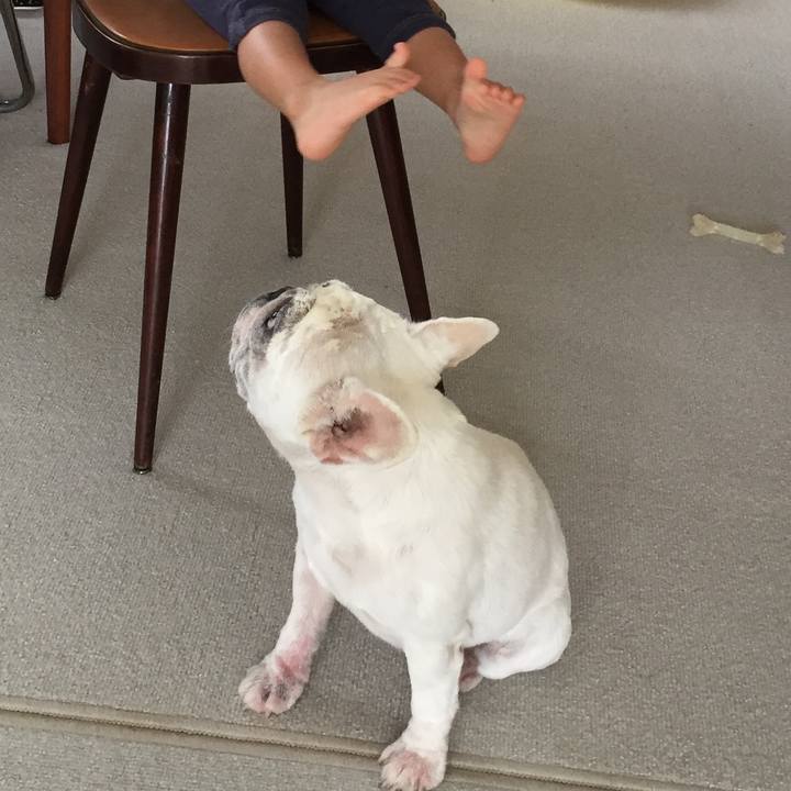 0c5170cc 8e1c 4cc0 933f e7abe38f440a