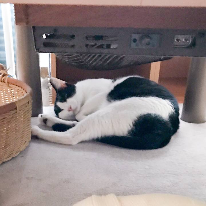 0c51cac2 2aaf 40a7 80a3 8512efbb3381