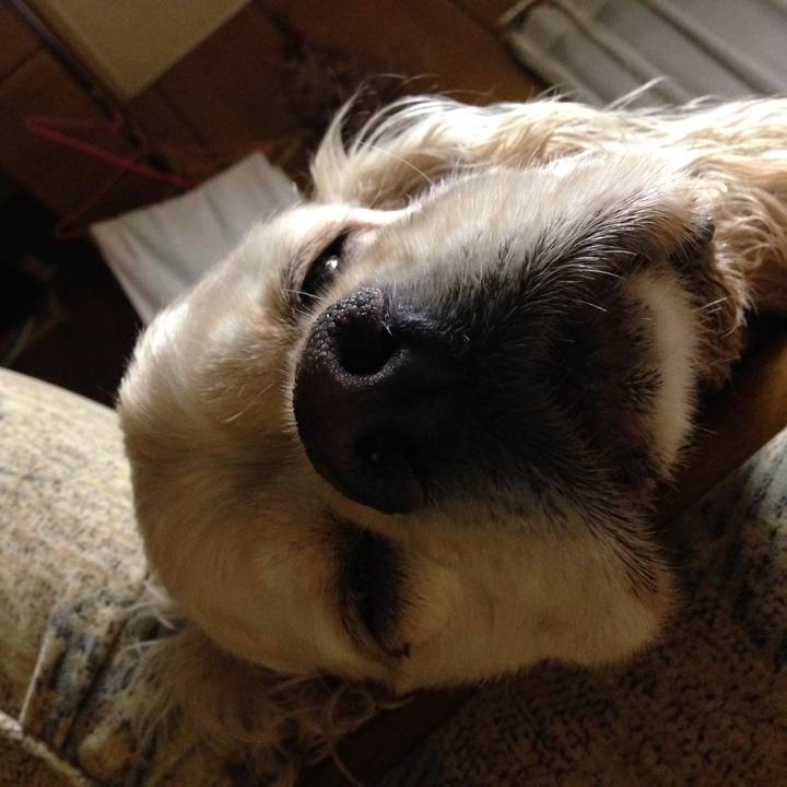 0c522433 f40d 47f8 a122 a8afdf478f4d