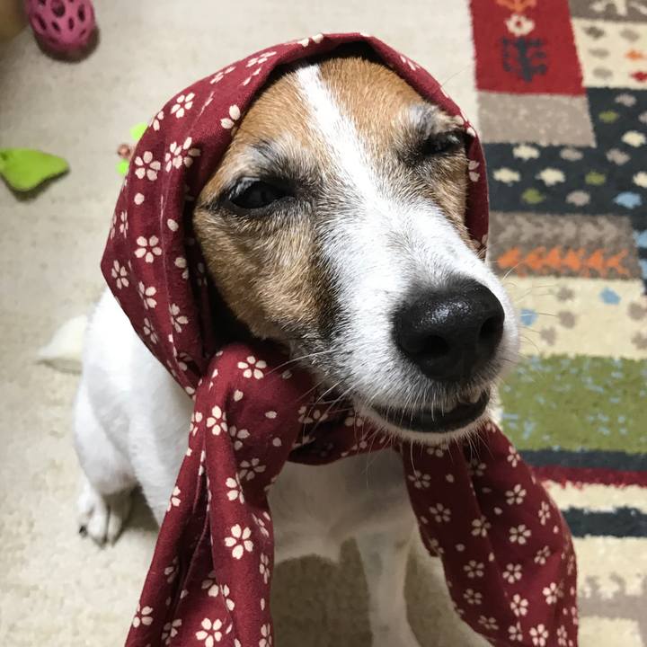 0c52717d df1e 4384 ae68 0b7cec69b700