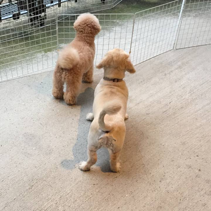 0c52f394 b860 464a b763 72b397dde845