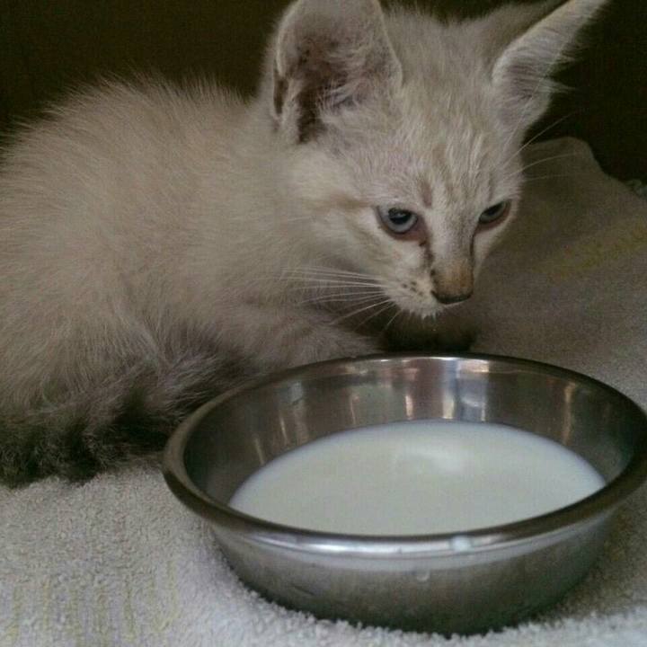 0c53332c 5c99 479b a0ba 25c56c42dfa0