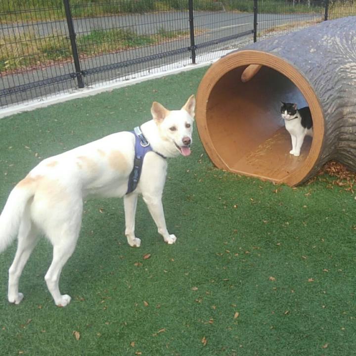 0c560d5f 2cba 4aa7 9b85 8a2c97827130