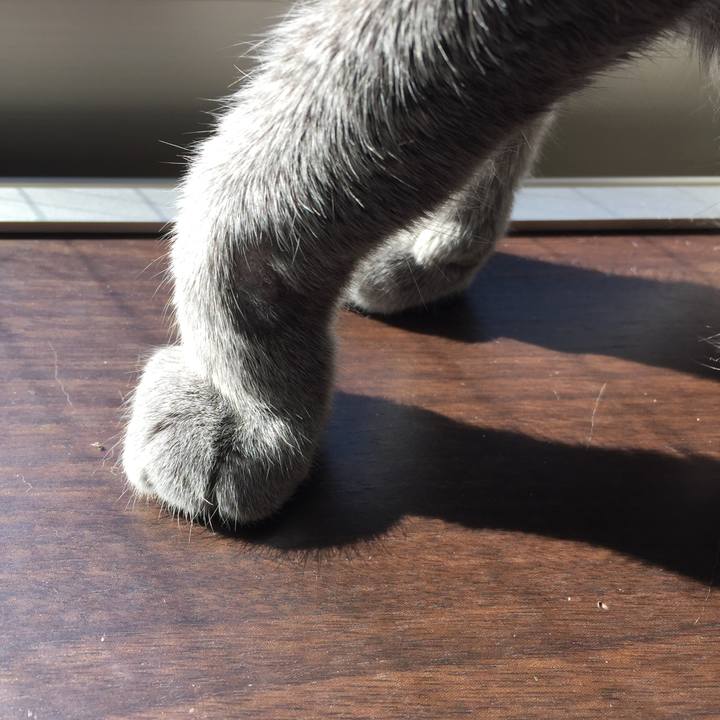 0c560f7e cdf9 4182 ae4a e1c0f7462241