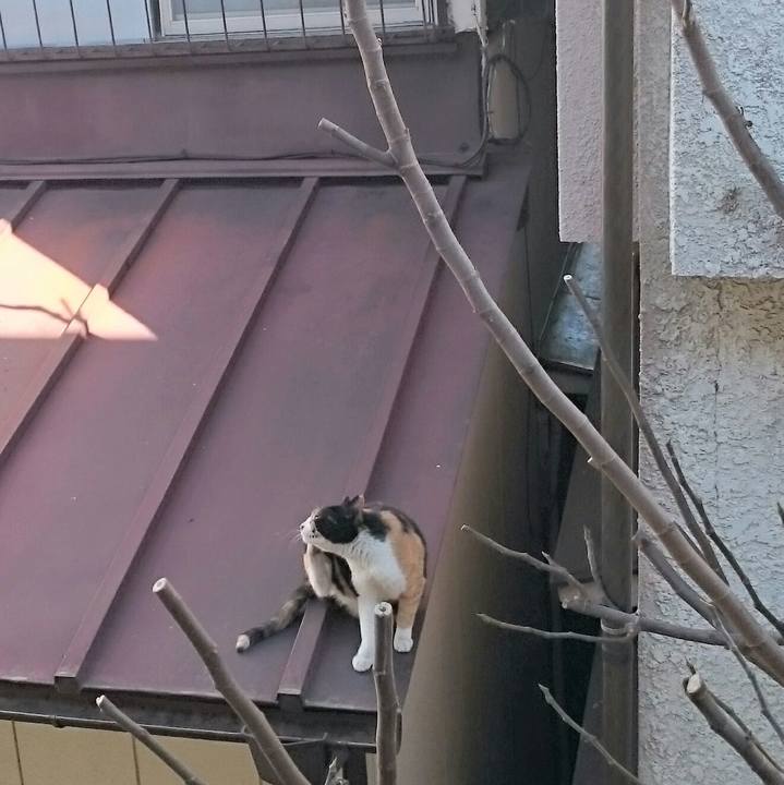 0c56553b de97 43b8 811c a1790e618dd7