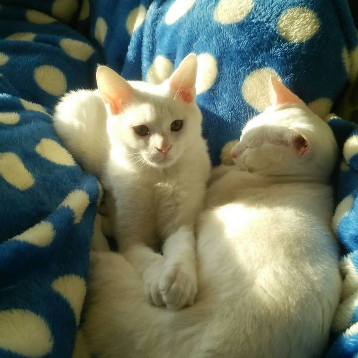 0c5693a7 697d 4a12 8f39 063508adf18a