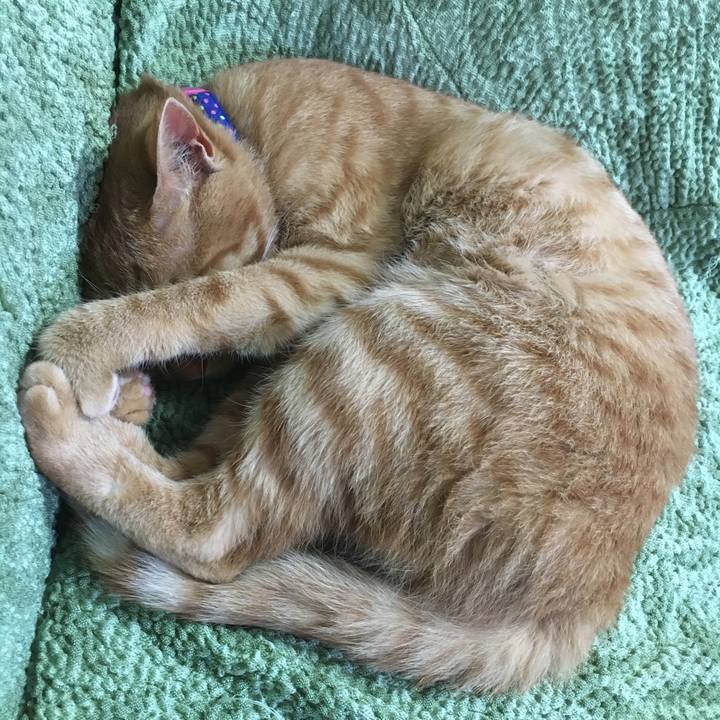 0c56fd34 1763 4545 ad2c 24a0e33389b0