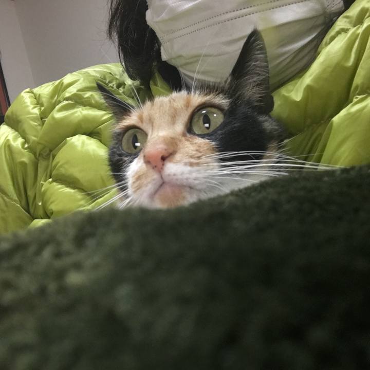 0c580b55 58f1 4c54 8108 5ba70b53413a