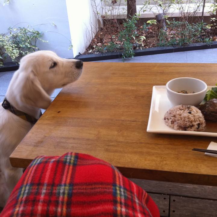 0c5821ab 67bf 4d6b ae82 8c5032b12124