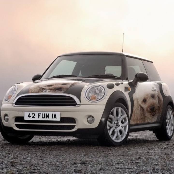 0c58798e d74d 47e5 b0c4 d88e6400f8f5