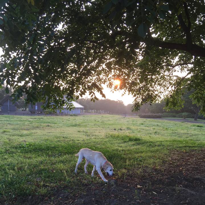 0c58c0a9 b97e 4bc3 a3be c0d765c81d61