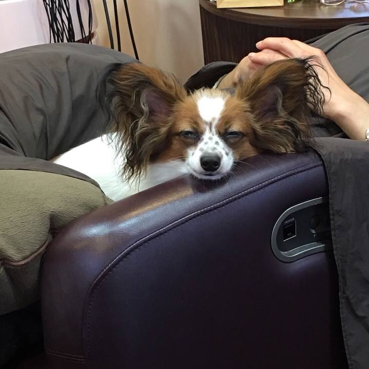 0c58d342 c75d 48d3 9ae4 73c8a49b5db6