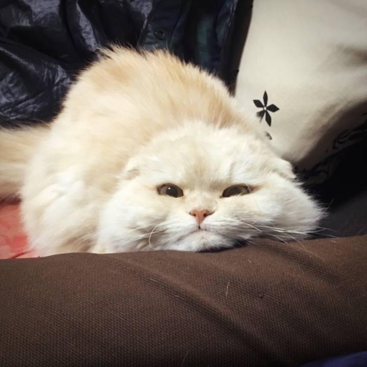 0c5a398a fb31 413d 874c a08cd01aca33