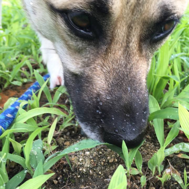 0c5a4142 351b 4987 8555 2ed798554ca7