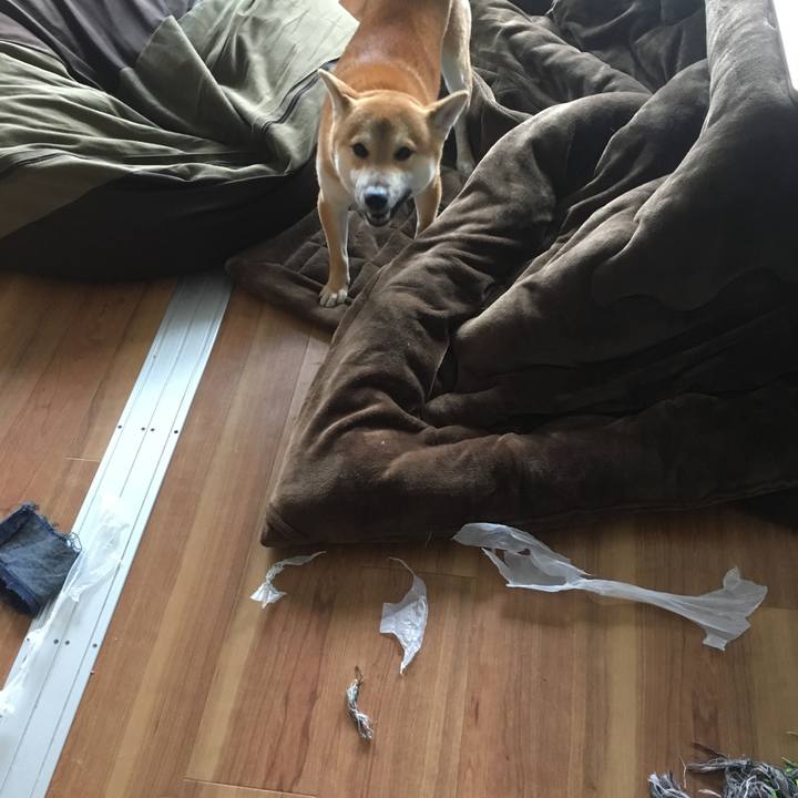 0c5acbdc d853 48a8 bad1 c205629fd3bf