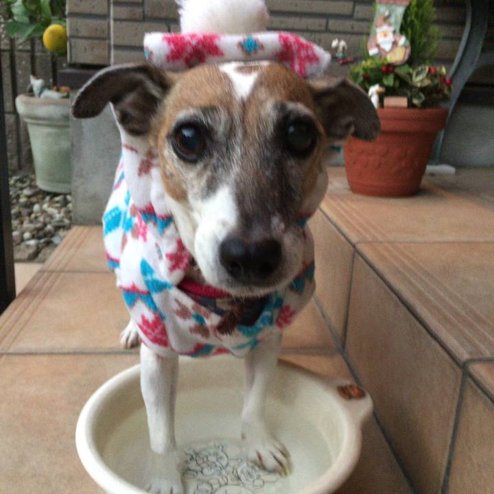 0c5b4053 fff2 4a8c a74a 371115a39a91