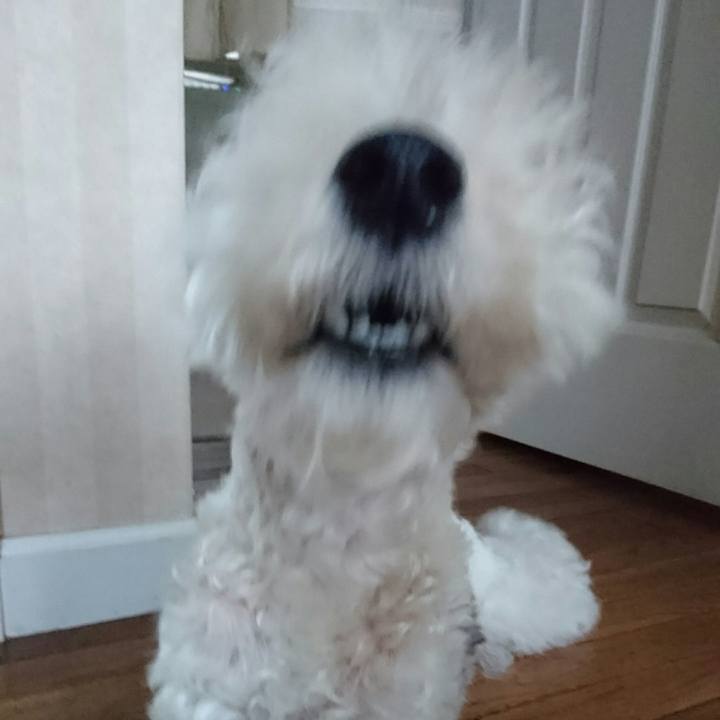 0c5c1269 e0f5 4e67 a123 b6bee73e26dd