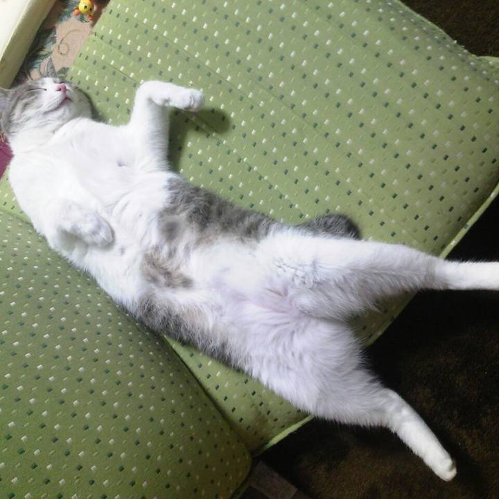 0c5caf30 20c6 4eba b78b f6b33a926a89