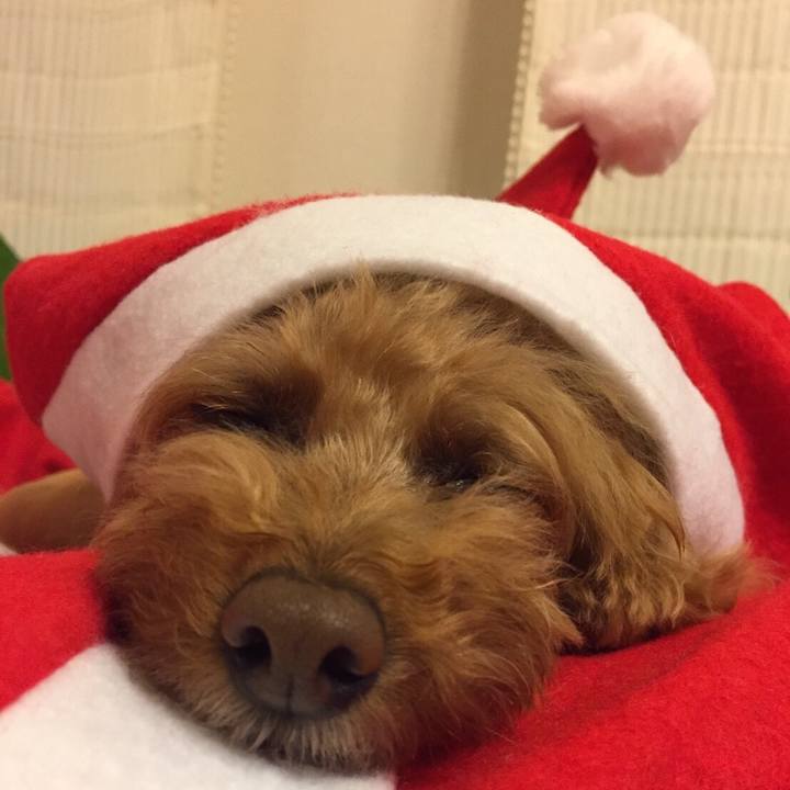 0c5cb31c 76a7 43a4 b4ee aaeeec739f65