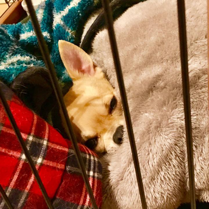 0c5cbf9e 569f 40f8 8aa4 4b3ba2b46ede