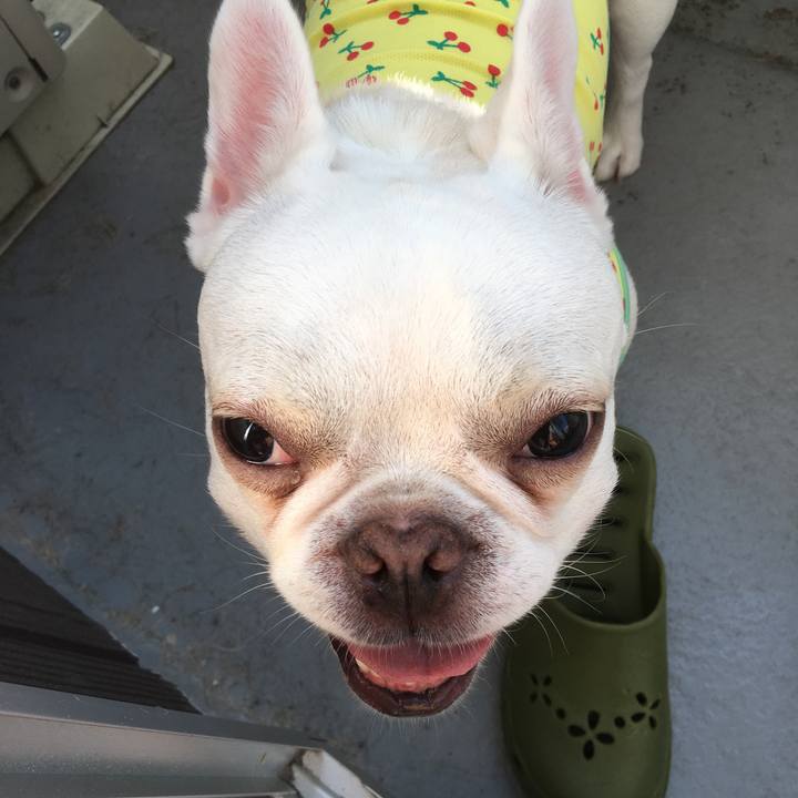 0c5d33ff 17a7 4fe5 9c47 dd49331f8821