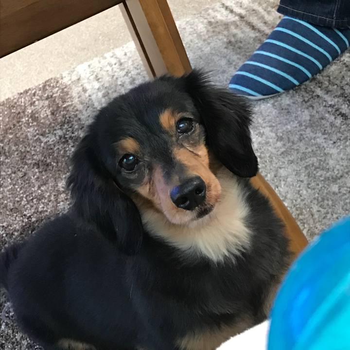 0c5df784 6030 46e6 b11c 4b22bca19d02