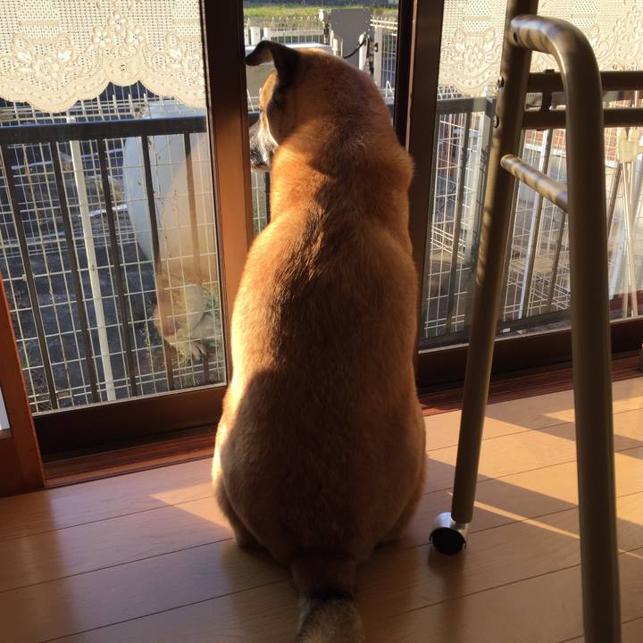 0c5df7f4 760d 4841 8b53 306c18944c08