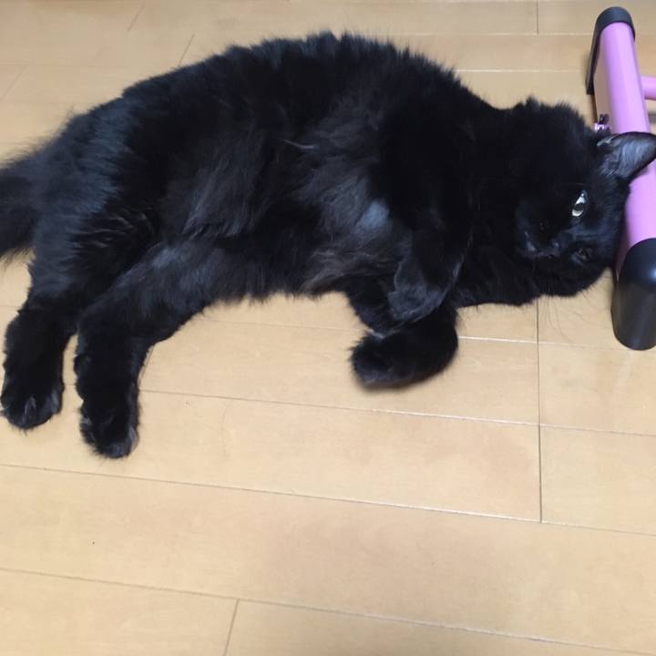 0c5f8973 2907 4bfd a422 1344de7074fe