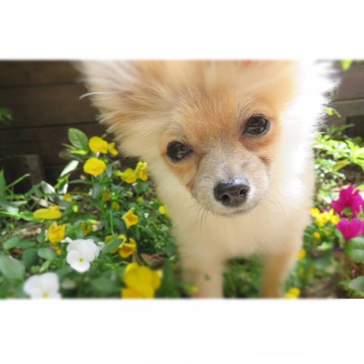 0c5fc4db 12b7 4d4e a174 24688c6a50dd