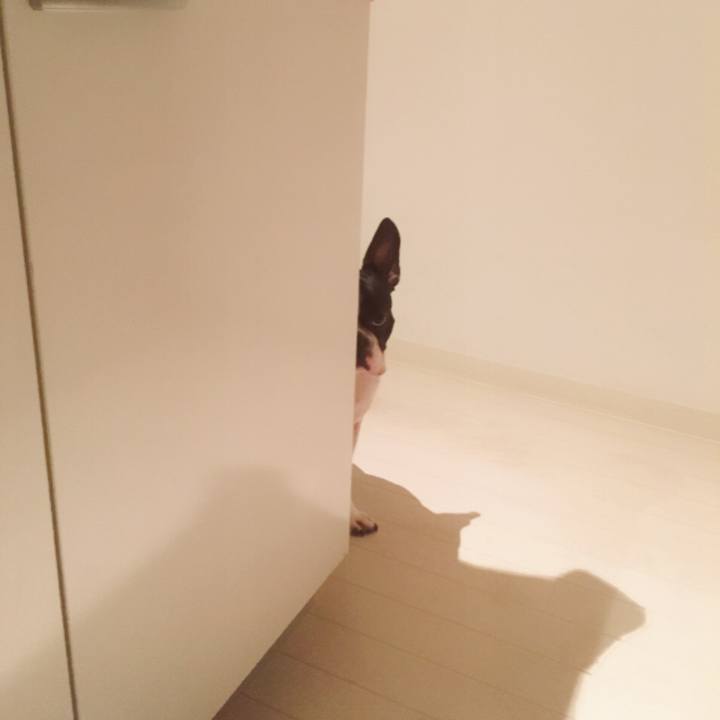 0c6004e9 0713 4e79 aebf cb2674fa8e8b