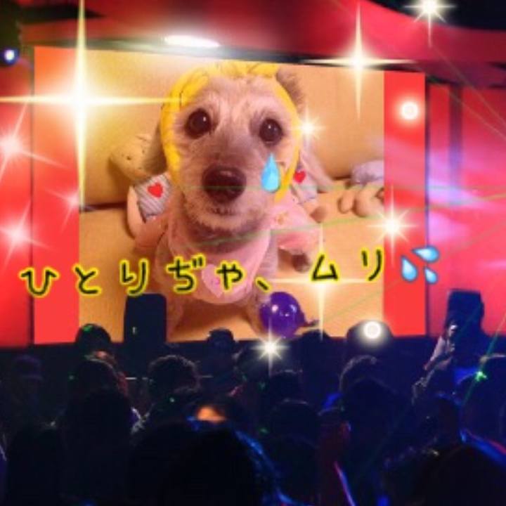 0c60146d 348f 48a8 a590 1daf877a2ca9