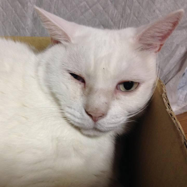 0c60715f 284d 4ff3 a7ef b010bb416638