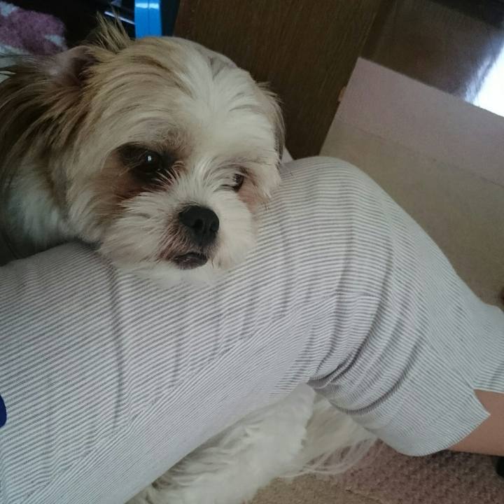 0c607502 945f 4a32 b473 efb5d47cc0c4