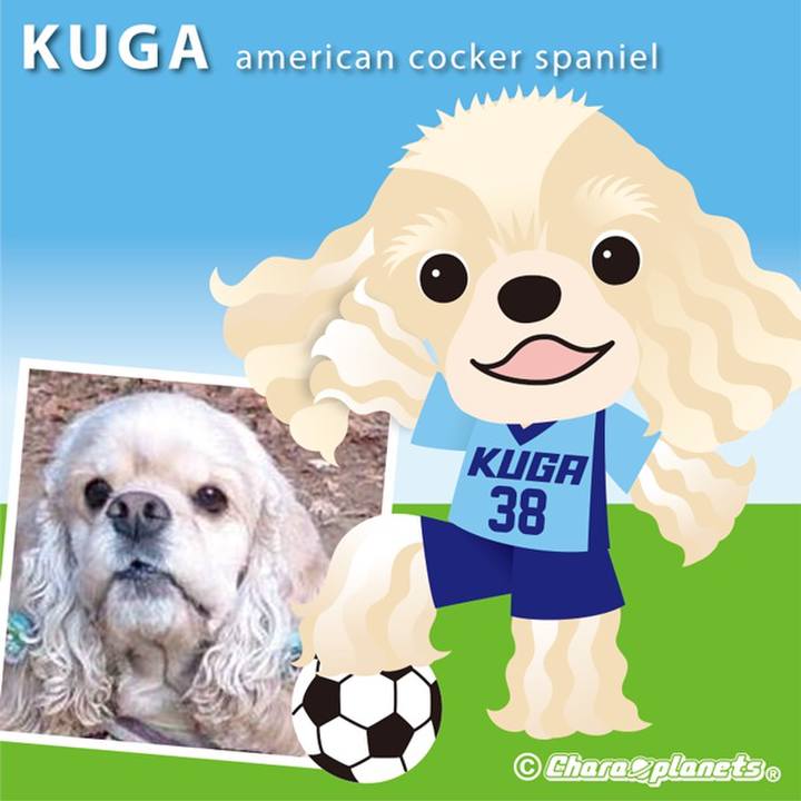 0c60c34b 8212 4f47 a6b9 c29803b68d0d