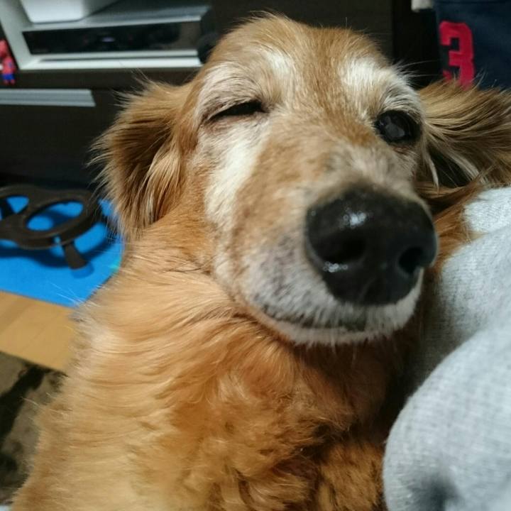 0c60f235 dba5 4ec6 a980 12a8ddcbfd1b