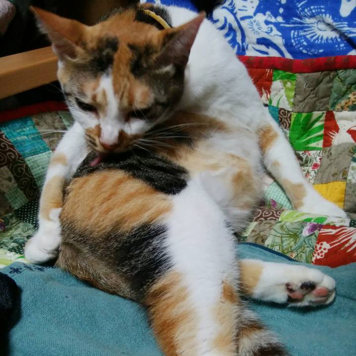 0c60f53a 3b19 4c97 840a 64f664856b80