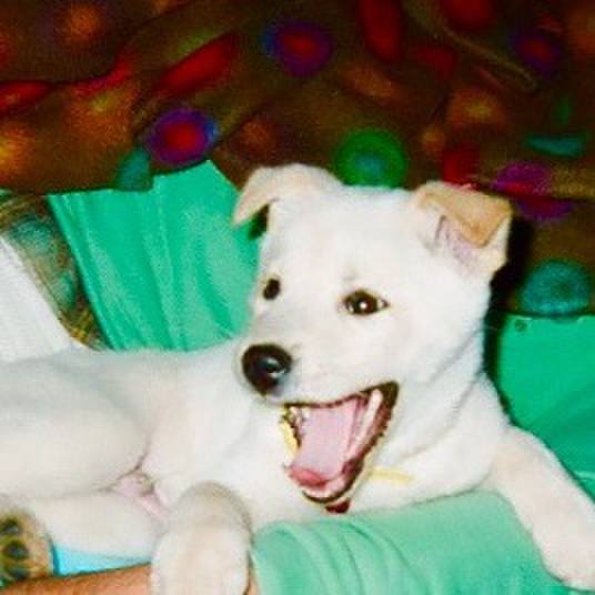 0c6171db 22f3 4f84 8984 6866858d3ab5