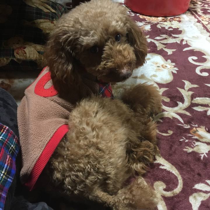 0c618c32 18b6 480f be94 76ff67c79bec