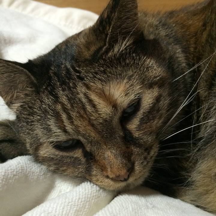 0c61d936 f0ca 4479 b862 0c86f3433728