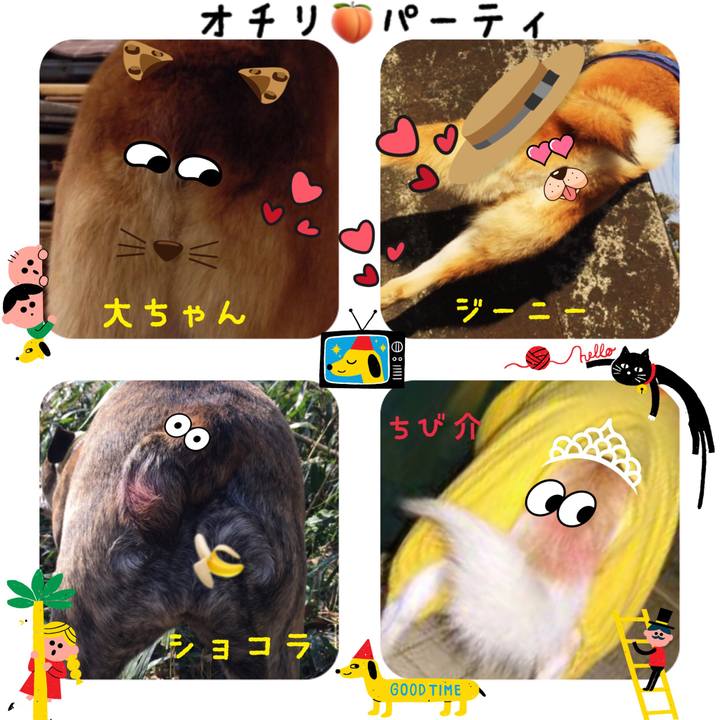 0c61edf2 0ce1 43d3 a612 083043814b70