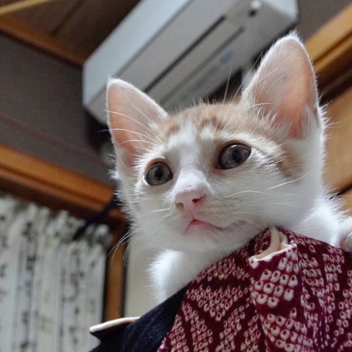 0c62bae3 c852 49dc adca 1c01adcde82a